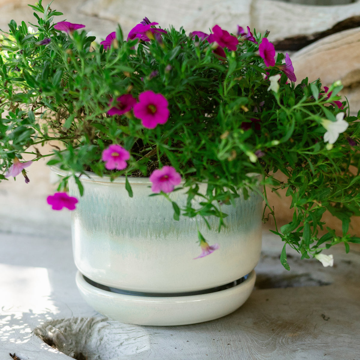 7 Inch Ring Planter