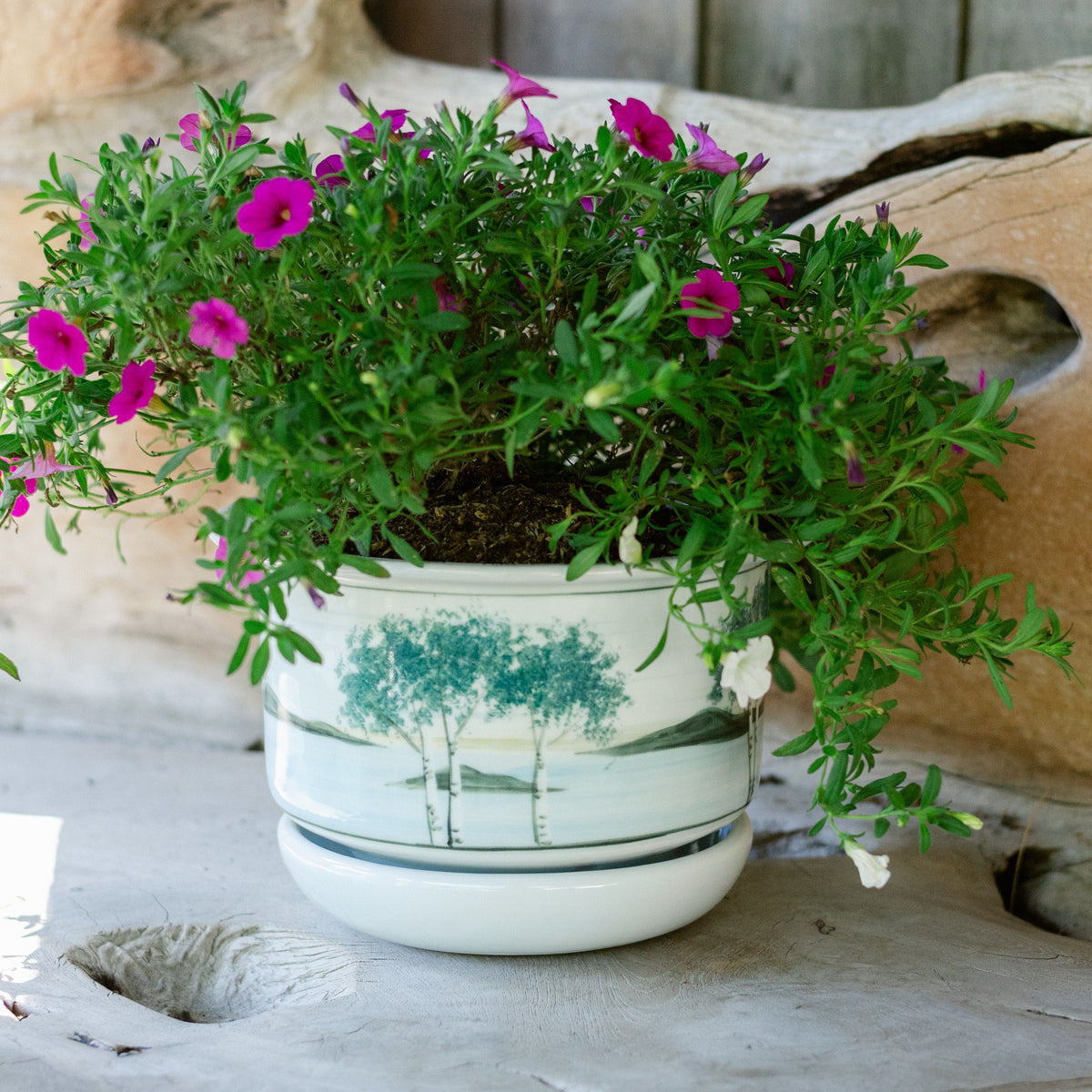 7 Inch Ring Planter