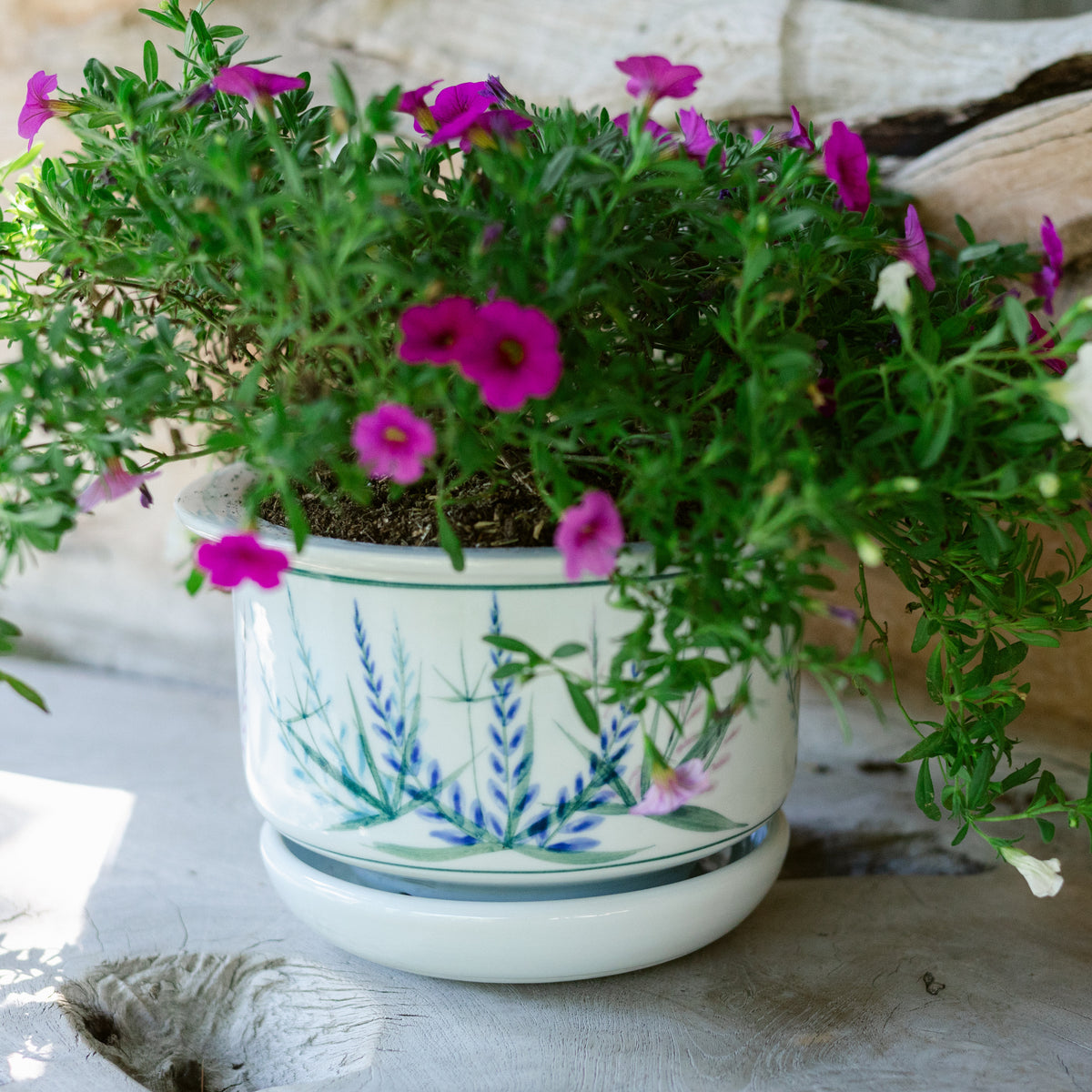 7 Inch Ring Planter