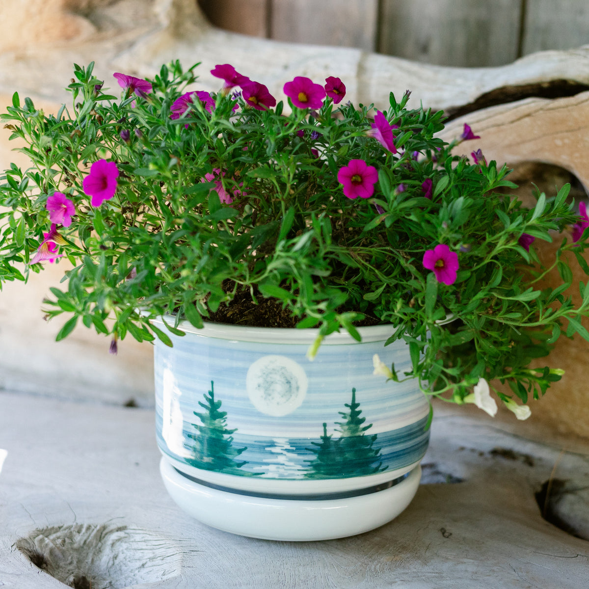 7 Inch Ring Planter