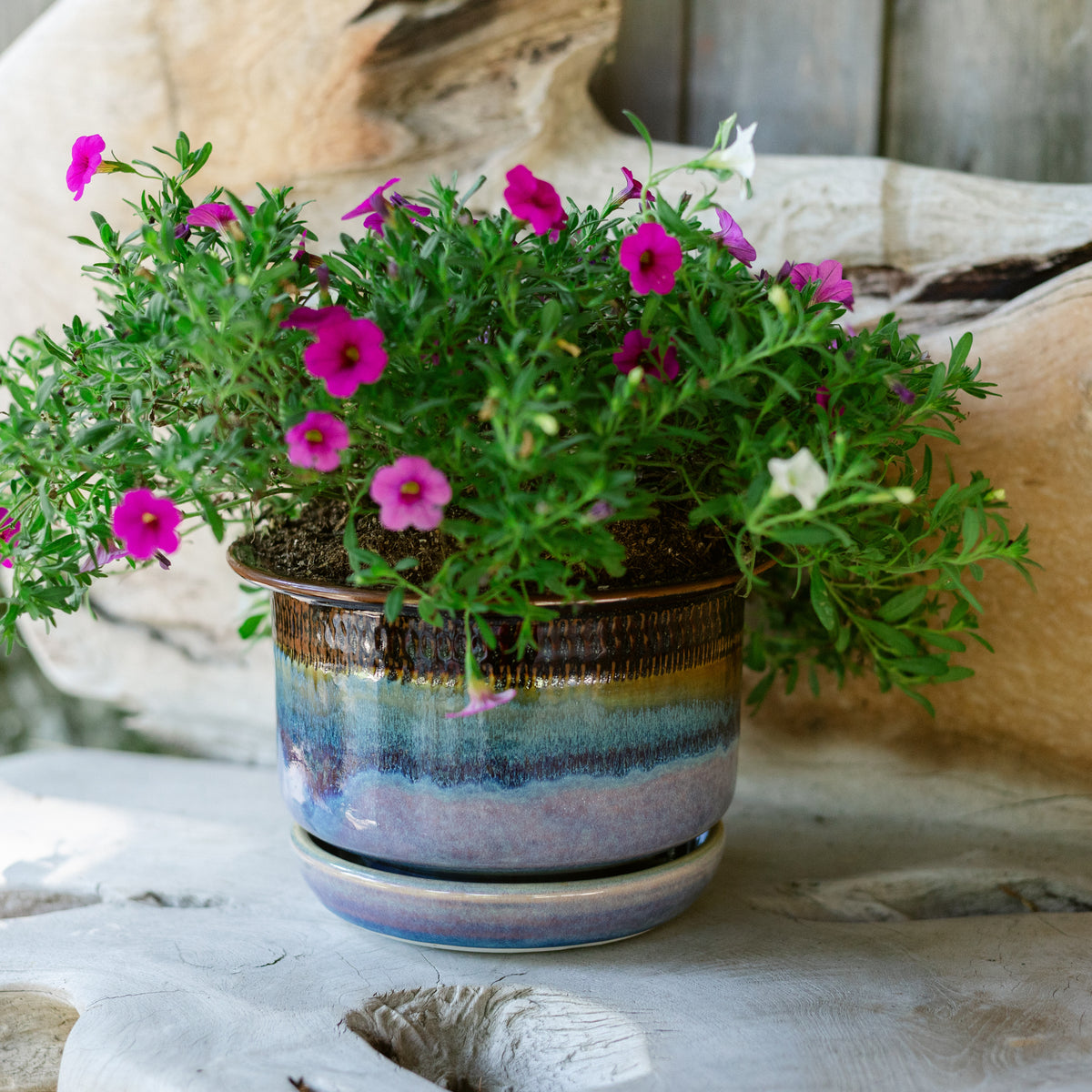 7 Inch Ring Planter