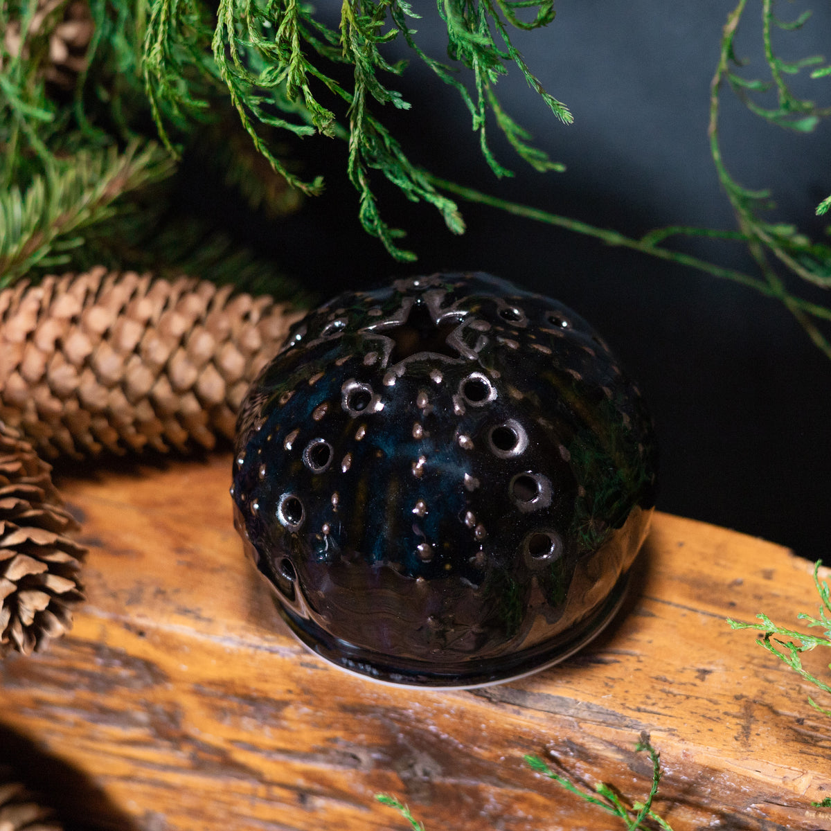 Urchin Luminary