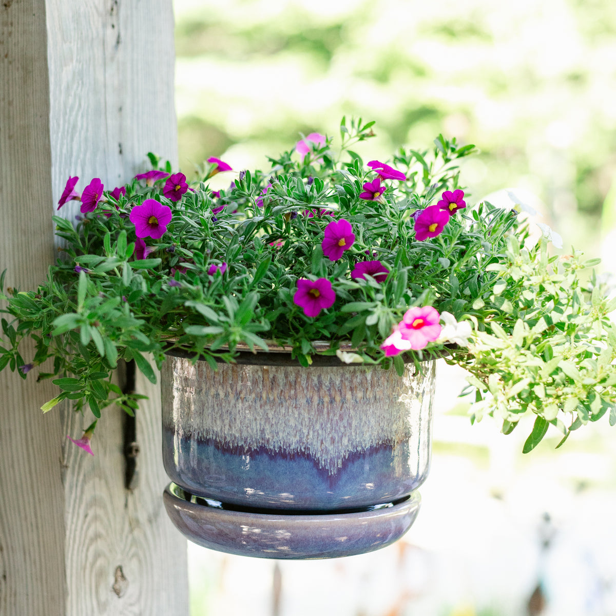 6 Inch Ring Planter