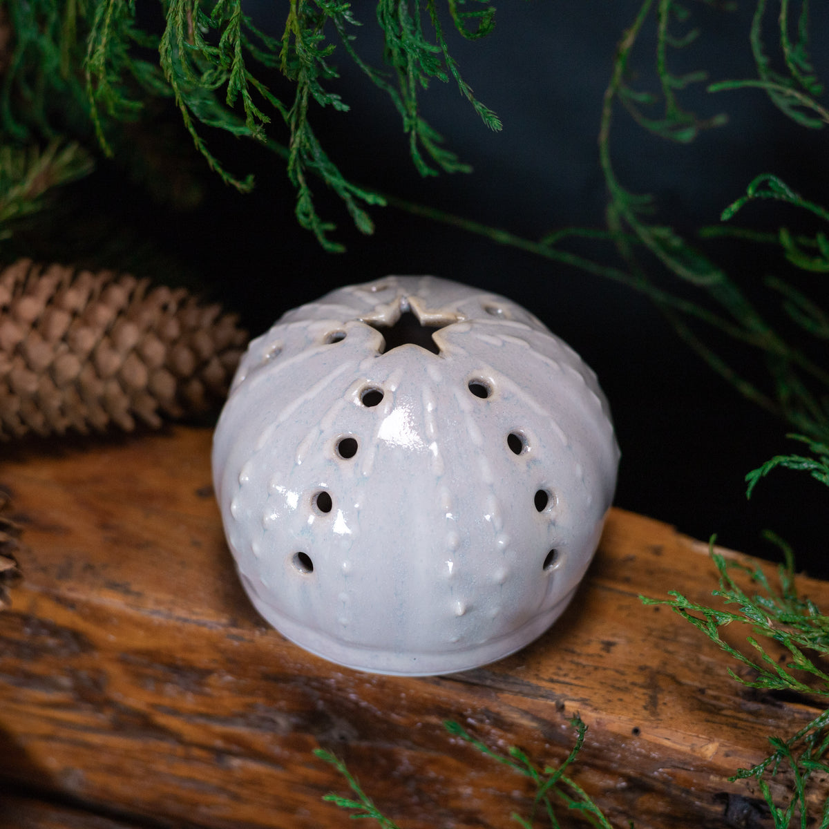 Urchin Luminary
