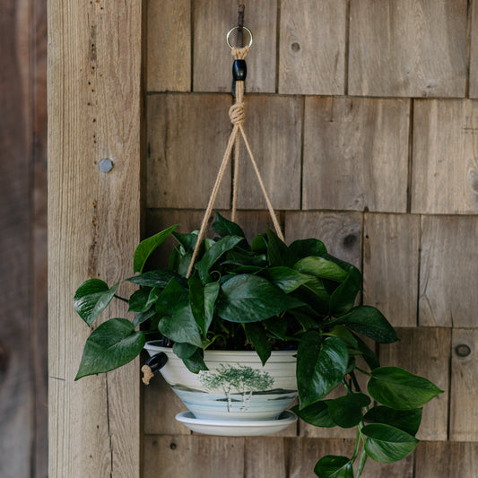 9-1/2 Inch Hanging Planter