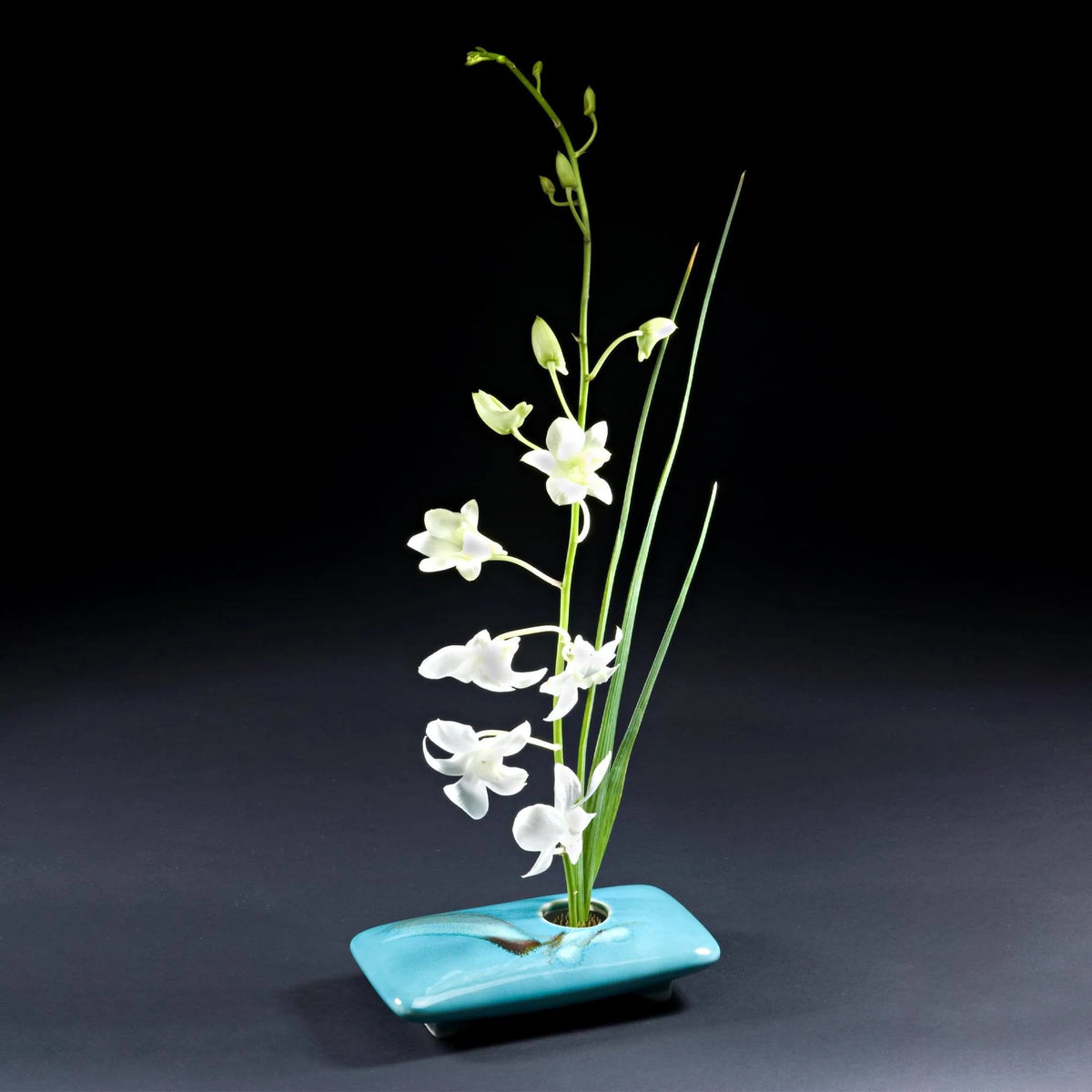 Mystery Bundle! Irregular Ikebana 3-Pack