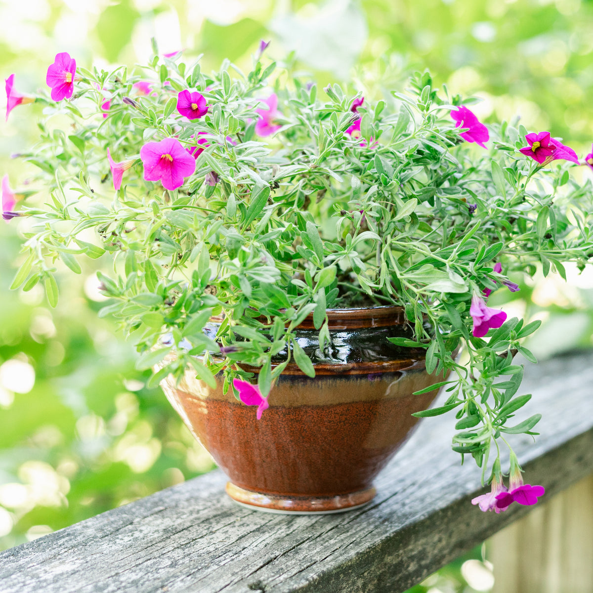 Tabletop Planter